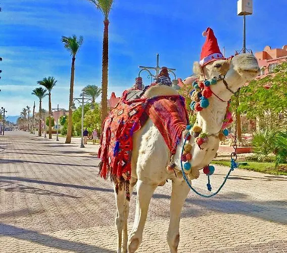 The Touristic Promenade Апартаменты *
