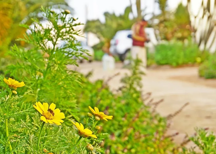 Апартаменты The Touristic Promenade Хургада